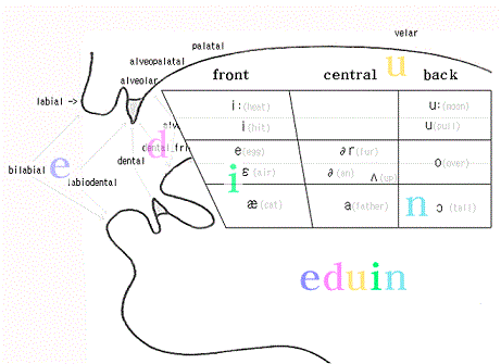 quadrilateral